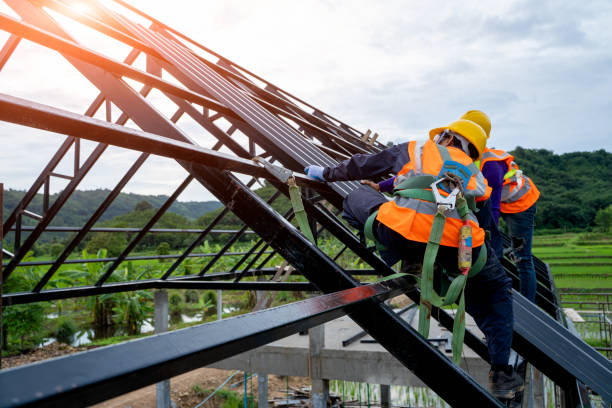 Best Roof Repair Services  in Ridgewood, IL