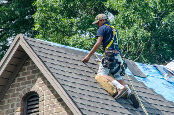 Best Flat Roof Repair Services  in Ridgewood, IL